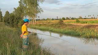 Fishing day ទំនេរៗទៅស្ទូចត្រីរហូតដល់ថ្ងៃលិច 🎣🌤 #villagelife  #fishing  #nature