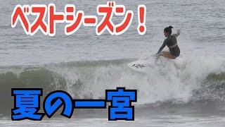 夏の一宮、最高の波でサーフィン