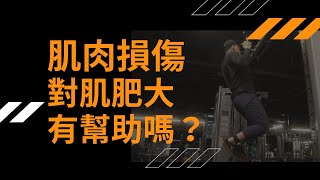 肌肉損傷是否有助於提高肌肥大的成效呢？ | Willis