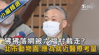 狒狒落網被六福村截走? 北市動物園:應為就近醫療考量｜TVBS新聞 @TVBSNEWS02