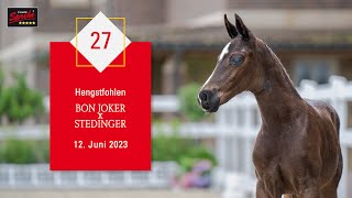 27 Hengst v. Bon Joker - Stedinger