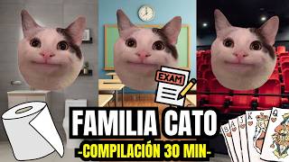 FAMILIA CATO , compilación 30 minutos (meme de gatos)