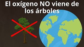 ¿De dónde viene el oxígeno que respiramos? La verdadera fuente - Enterarse