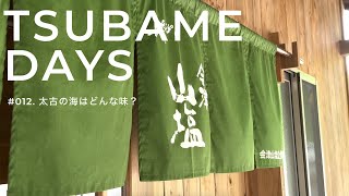 幻の塩それは太古の海🌊の味｜会津山塩製塩所｜猫魔アルツの帰り道におすすめ  #幻の塩  #会津山塩  #グリーンタフ