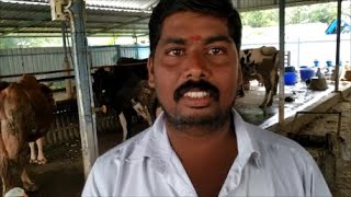 ஊறுகாய் தீவனம் செய்து கொடுப்பவரின் அனுபவங்கள் / Experience of a Silage maker