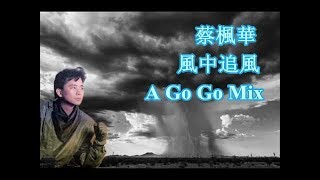 蔡楓華 ~ 風中追風（A Go Go Mix）