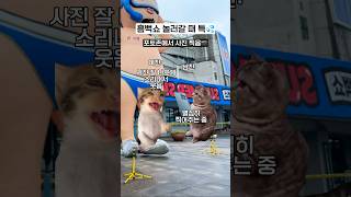 흠뻑쇼 놀러갈 때 커플 특ㅋㅋ feat.싸이