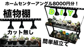 【DIY】ホームセンターのアングル8000円分でライト付き植物棚をカット無しで組み立てる！