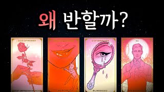 [타로] 이성들이 반하는 내 매력