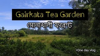 Short trip Gairkata Tea Garden | Sonakhali Forest Village | Moraghat Range