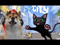 PETUALANGAN KUCING KECIL YANG TERSESAT DI KOTA BESAR!- Little Kitty Big City #1