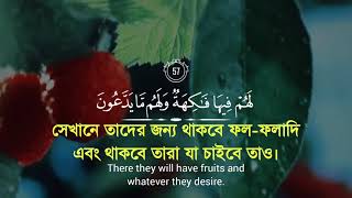 সূরা আল ইয়াসিন আয়াত ৫৫-৫৯ তিলাওয়াতে আহমাদ আল নুফাইস