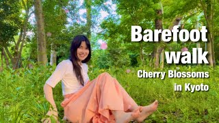 Barefoot in the Cherry Blossom Season桜の季節に裸足散歩（Kyoto,Japan）