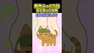 【2ch動物スレ】命を救った経験