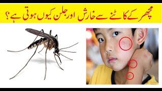 machar ke katne sy kharish aur jallan keon hoti ha. mosquito bite itch