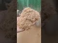 coconut arecanut husk crusher machine youtubeshorts