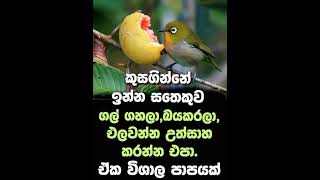 අනිවාර්යයෙන්ම කියවන්න