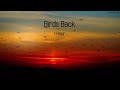 bird back leevi9 1 hour