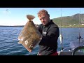 sea fishing in soroya norway sportquest holidays all inclusive package