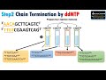 dna sequencing principles and steps in sanger dideoxy chain termination