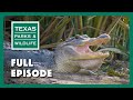 PBS Show - Gator Guardians, Las Palomas & Mattox Prairie Farm