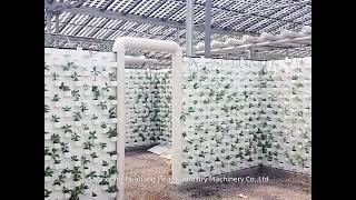 Photovoltaic Solar Greenhouse for sale