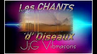 LES BIENFAITS DES CHANTS D'OISEAUX \u0026 DES ÉLÉMENTS DE LA NATURE SUR TA SANTÉ ENERGETIQUE ! OFFERT !