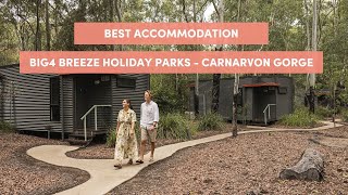 BIG4 Breeze Holiday Parks Carnarvon Gorge - Where To Stay