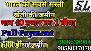 भारत की सबसे सस्ती जमीन मात्र 40 हजार में 1 बीघा Full Payment 😱#viralproperty#खेतीकीजमीन