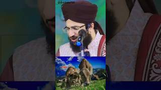 🥀✨ Mufti Salman Azhari ✨🥀 viral short video #viral #youtubeshorts #shortsvideo #islamicstatus
