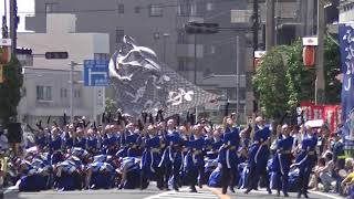 市立船橋高校吹奏楽部THEヨサコイ@ふなばし市民まつり2019（本町通り会場）