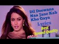 Dil Deewana Naa Jane Kab Kho Haya full Lyrics song | Daag: The Fire | Kumar Sanu, Anuradha Paudwal |