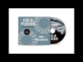 Paul Vanaheim - Cold Fusion. Electronic Landscapes PROMOMIX