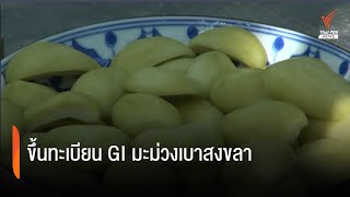 ขึ้นทะเบียน GI มะม่วงเบาสงขลา