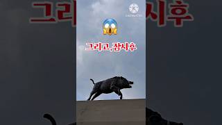 잠시후!