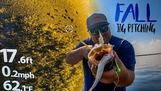 Fall walleye jig pitching tips 🎯