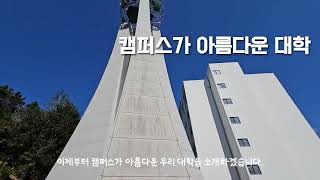 전남과학대학교 간호학과