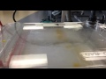 Timelapse of gel electrophoresis- GMO Lab  (Bio-Rad)