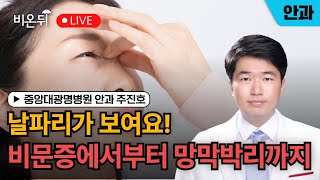 날파리가 보여요. 비문증에서부터 망막박리까지 / 중앙대광명병원 안과 주진호