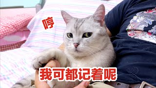 猫的记忆有多强？带猫回娘家，发现它10年前的事都记得！