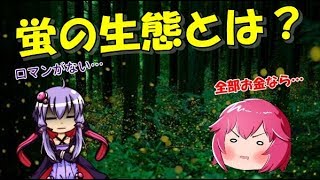 ホタルはなぜ光るの？ 意外と知らない蛍の生態などを解説【ゆっくり雑学】