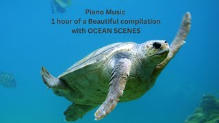 Beautiful dream.  piano, orchestra music set to an oceanic scene. #piano #pianomusic #ocean