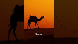 Places to visit in Rajasthan…#facts #like #explorethebeautyofnature #travel