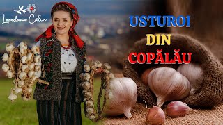 LOREDANA CĂLIN -  🧄 USTUROI DIN COPĂLĂU