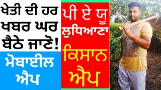 ਖੇਤੀ ਦੀ ਹਰ ਖਬਰ ਘਰ ਬੈਠੇ ਹੀ ਜਾਣੋ! PAU Kisan App