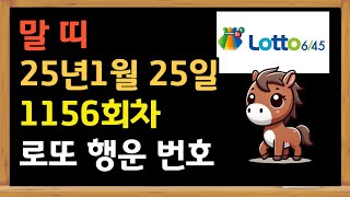 말띠 1월25일 1116 로또 추천 번호 금전운이 좋은 번호 추천