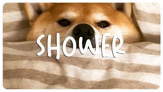 songs to have a concert in the shower ~ a playlist