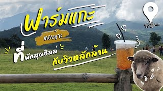 #Akhafarmville #ฟาร์มแกะ ดอยช้าง \