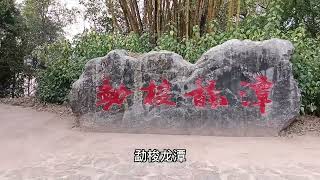 来到云南西盟县，这里山清水秀，美不胜收，可我最大的心愿没实现