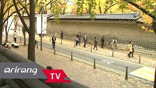 [Viewfinder] Doldam gil Walkway at Deoksugung Palace